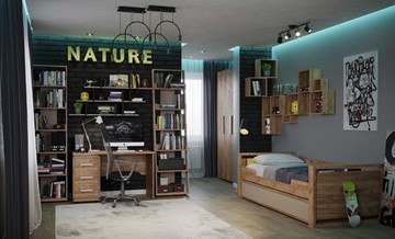 Комната для девочки Nature в Якутске