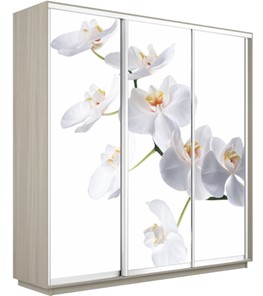 Шкаф трехдверный Экспресс 2400х600х2200, Орхидея белая/шимо светлый в Якутске