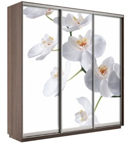 Шкаф 3-х дверный Экспресс 2400х600х2200, Орхидея белая/шимо темный в Якутске