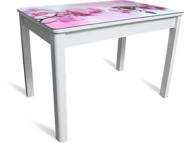 Кухонный стол раздвижной Айсберг мини СТФ, белое лдсп/орхидея/40 прямые массив белые в Якутске