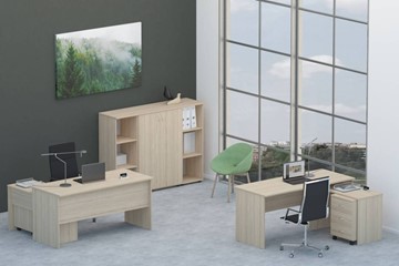Набор мебели в офис Twin для 2 сотрудников со шкафом для документов в Якутске