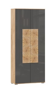 Шкаф двухстворчатый Фиджи с декоративными накладками 659.310, Дуб Золотой/Антрацит в Якутске
