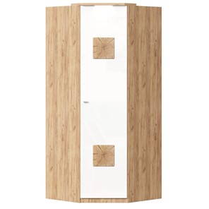 Шкаф угловой 45 с декоративной накладкой Фиджи, 659.248, белый в Якутске