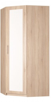 Распашной шкаф угловой Реал (YR-230х1034 (3)-М Вар.1), с зеркалом в Якутске - изображение