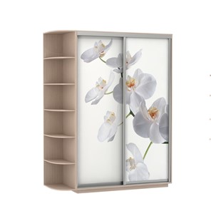 Шкаф 2-створчатый Экспресс 1900x600x2200, со стеллажом, Орхидея белая/дуб молочный в Якутске