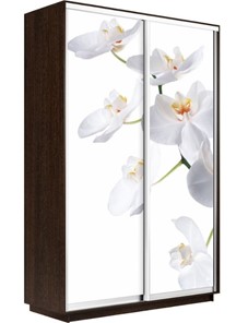 Шкаф 2-дверный Экспресс 1400x600x2400, Орхидея белая/венге в Якутске