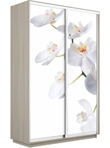 Шкаф 2-х створчатый Экспресс 1600x450x2200, Орхидея белая/шимо светлый в Якутске