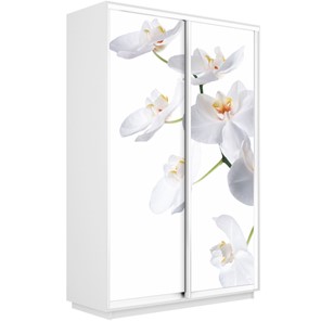Шкаф Экспресс 1600x450x2400, Орхидея белая/белый снег в Якутске