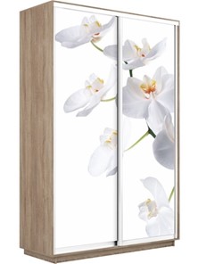 Шкаф 2-дверный Экспресс 1600x450x2400, Орхидея белая/дуб сонома в Якутске