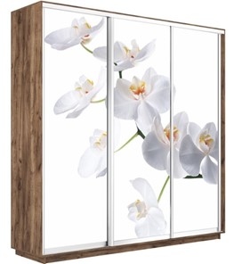 Шкаф 3-дверный Экспресс 1800х450х2200, Орхидея белая/дуб табачный в Якутске