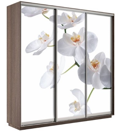 Шкаф 3-дверный Экспресс 1800х600х2200, Орхидея бела/шимо темный в Якутске - изображение
