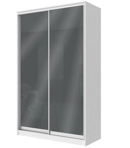 Шкаф 2-х дверный Хит-22-4-12/2-22 с цветным стеклом, темно-серый 073, Белый в Якутске