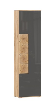 Шкаф одностворчатый Фиджи с декоративными накладками 659.300, Дуб Золотой/Антрацит в Якутске - изображение