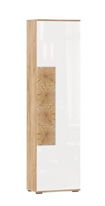 Шкаф одностворчатый Фиджи с декоративными накладками 659.300, Дуб Золотой/Белый в Якутске